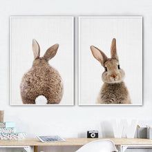 Load image into Gallery viewer, Bunny Rabbit Tail Canvas Wall Art