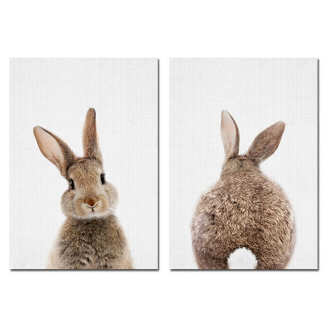 Bunny Rabbit Tail Canvas Wall Art