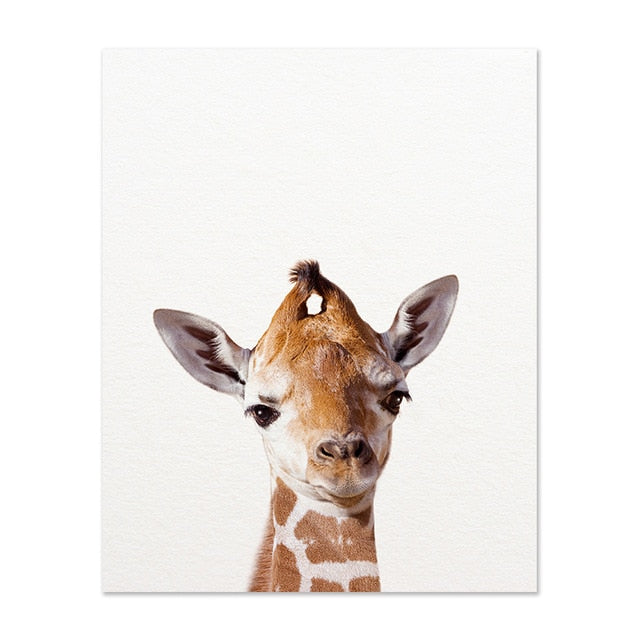 Safari Baby Animals Canvas Prints