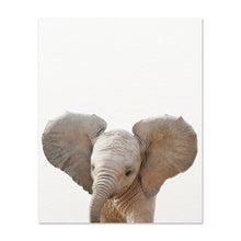 Load image into Gallery viewer, Safari Baby Animals Canvas Prints