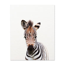 Load image into Gallery viewer, Safari Baby Animals Canvas Prints